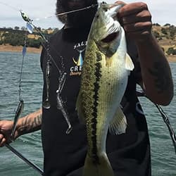 18g 5 Arm Alabama Rig Head Umbrella Fishing Group Lures Bass Swimming Baits 4 Pk - Thumbnail 2