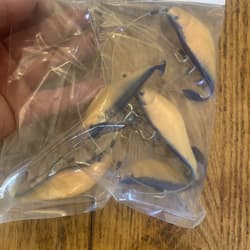 7” Umbrella Rig 4 Arm With 4” Shad (5)  Pearl Blue New In Package McKala Fishin - Thumbnail 10