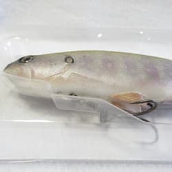 Produced By Kyoya Fujita Jackall Vividus Swimbait 2025 #RT YAMAME (NIP) - Thumbnail 3