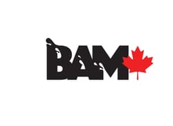 Bam Baits Senko Style Worm Soft Plastic Bait  4" black yellow 200 pack - Thumbnail 2