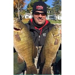 Tour Grade Titanium Umbrella Rig Five Wire System 3D Eyes Fishing Lure New - Thumbnail 4