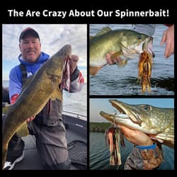 3PCS Premium Bass Fishing Buzzbait Kit Multicolor Swimbaits Hard Metal Lures US - Thumbnail 6