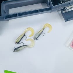 LOT of Fishing Worms Grubs Bait Lures Jelly Strike King Kalin's + Box FREE SHIP - Thumbnail 3