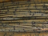 Skirts Unlimited Speckled Skirts 10pk - Thumbnail 5