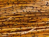 Skirts Unlimited Speckled Skirts 10pk - Thumbnail 8