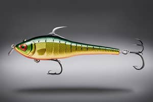 dark-green-perch-lure-1702242932