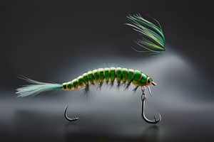 dark-green-caterpillar-lure-1697988536