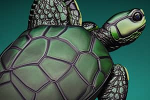 dark-green-turtle-lure-1691003820