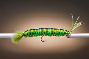 green-caterpillar-lure-1691005884