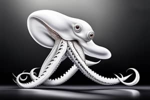 white-octopus-lure-1692938775
