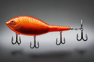 orange-turtle-lure-1696475647