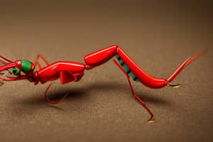 red-grasshopper-lure-1676698285