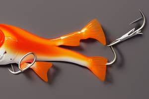 orange-bass-lure-1680251702