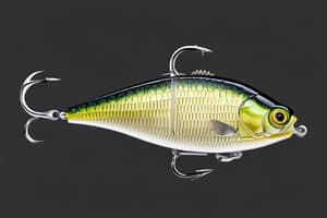 natural-crappie-lure-1708986382