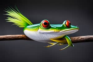 green-frog-lure-1691010307