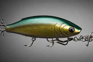 minnow--bass-lure