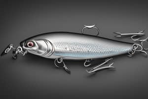 silver-shad-lure-1688001734