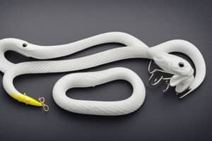 white-snake-lure-1687112335