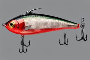 red-shad-lure-1696540840