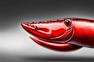 red-eel-lure-1691247638