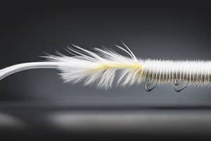 white-caterpillar-lure-1696475677