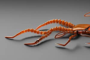 light-brown-scorpion-lure