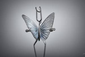 silver-butterfly-lure-1687112307