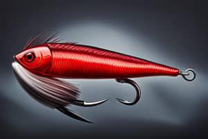 red-minnow-lure-1694807718