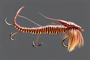 brown-crawfish-lure-1692751118