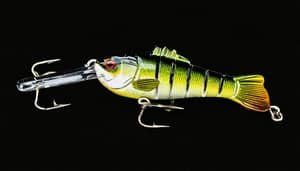 dark-green-bass-lure-1731958787