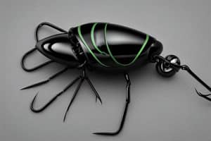 black-bay-bug-lure-1676698305