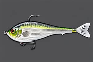 white-crappie-lure-1699377679