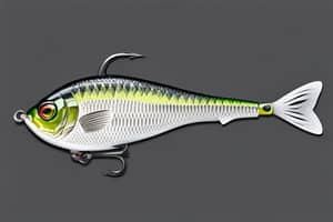 white-crappie-lure-1699377679