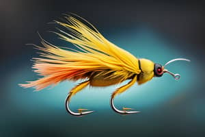 yellow-beetle-lure-1696475531