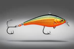 orange-perch-lure-1691166891