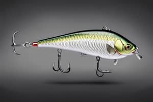 silver-perch-lure-1696540829