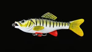 black-bass-lure-1735331717