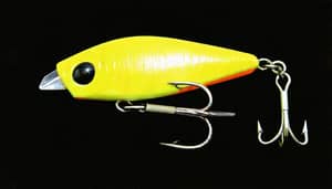 yellow-bird-lure-1738287638