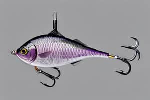 purple-sunfish-lure-1695605505
