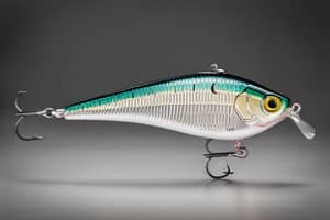 teal-shad-lure-1696540865