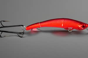 red-minnow-lure-1687015190