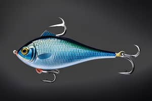 indigo-sunfish-lure-1695589980