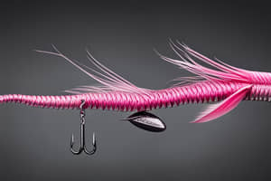 pink-lizard-lure-1698239337