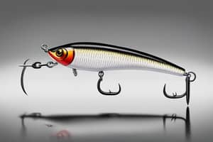 black-minnow-lure-1701692911