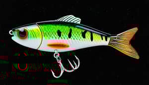 natural-shad-lure-1725471090