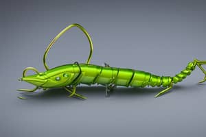 green-grasshopper-lure-1690819715