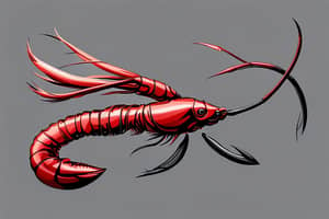 natural-crawfish-lure-1692751213