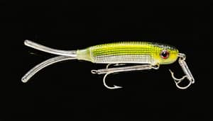 natural-tadpole-lure-1737733873