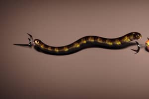 brown-worm-lure-1691003791