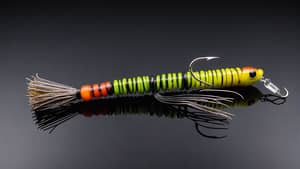 natural-wacky-worm-with-a-jig-head-lure-1713214523